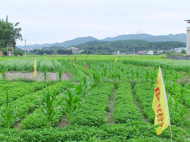 生态绿色种植园区